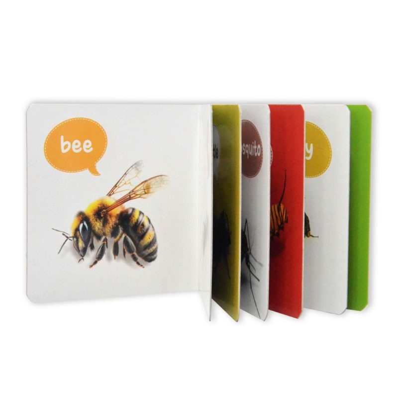 Board Books - Insects - My First Book Series 14p inside