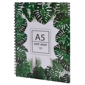 import placeholder for st0963