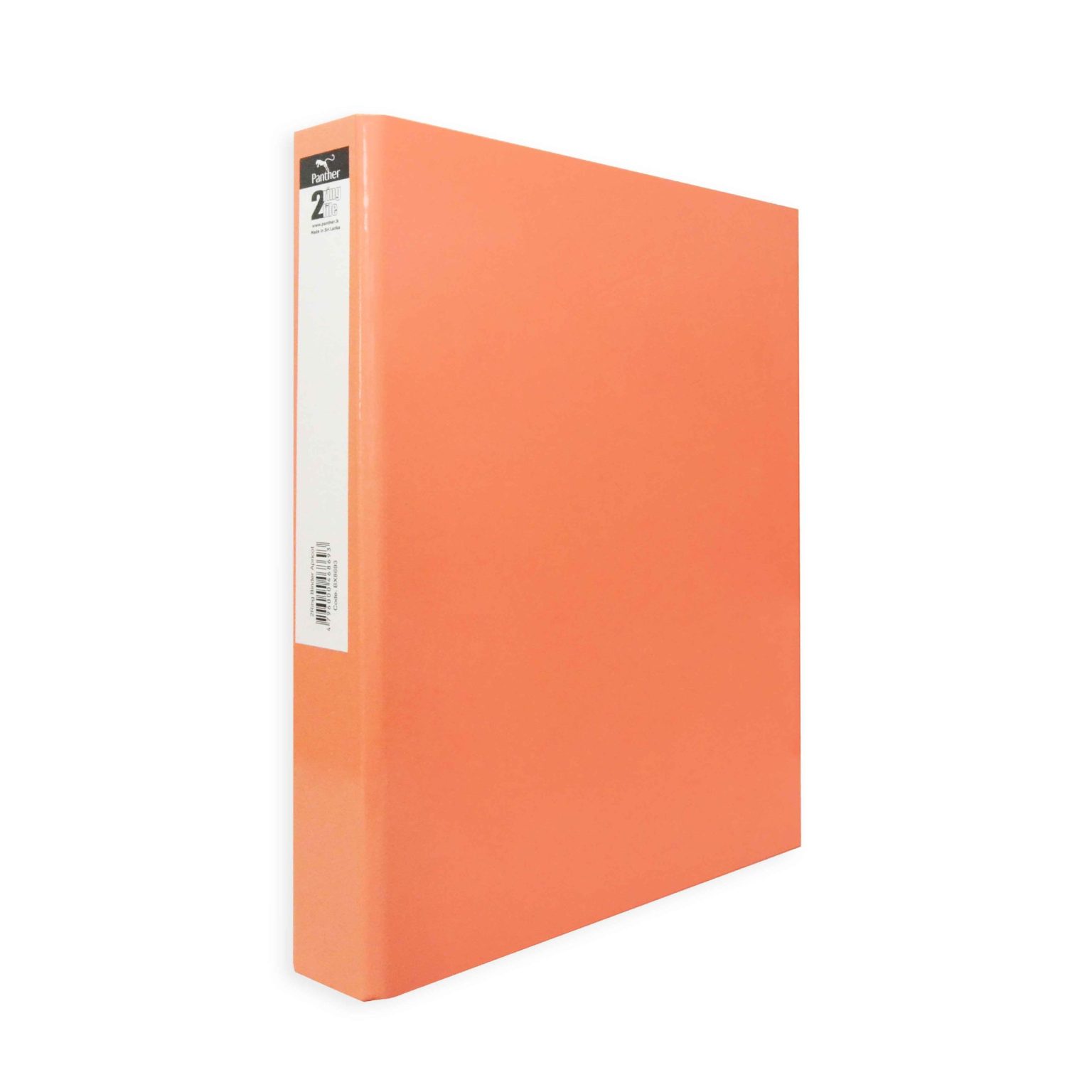 Office Stationery - Box Files - Panther
