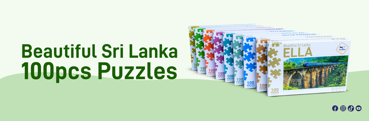 BSL-Puzzle-Hiro-Banner